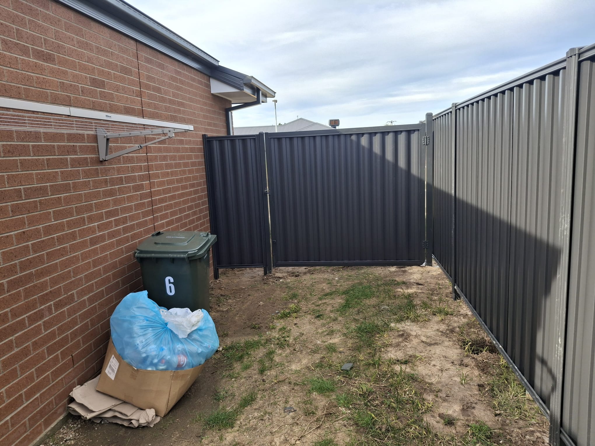 Colorbond fence in residential courtyard