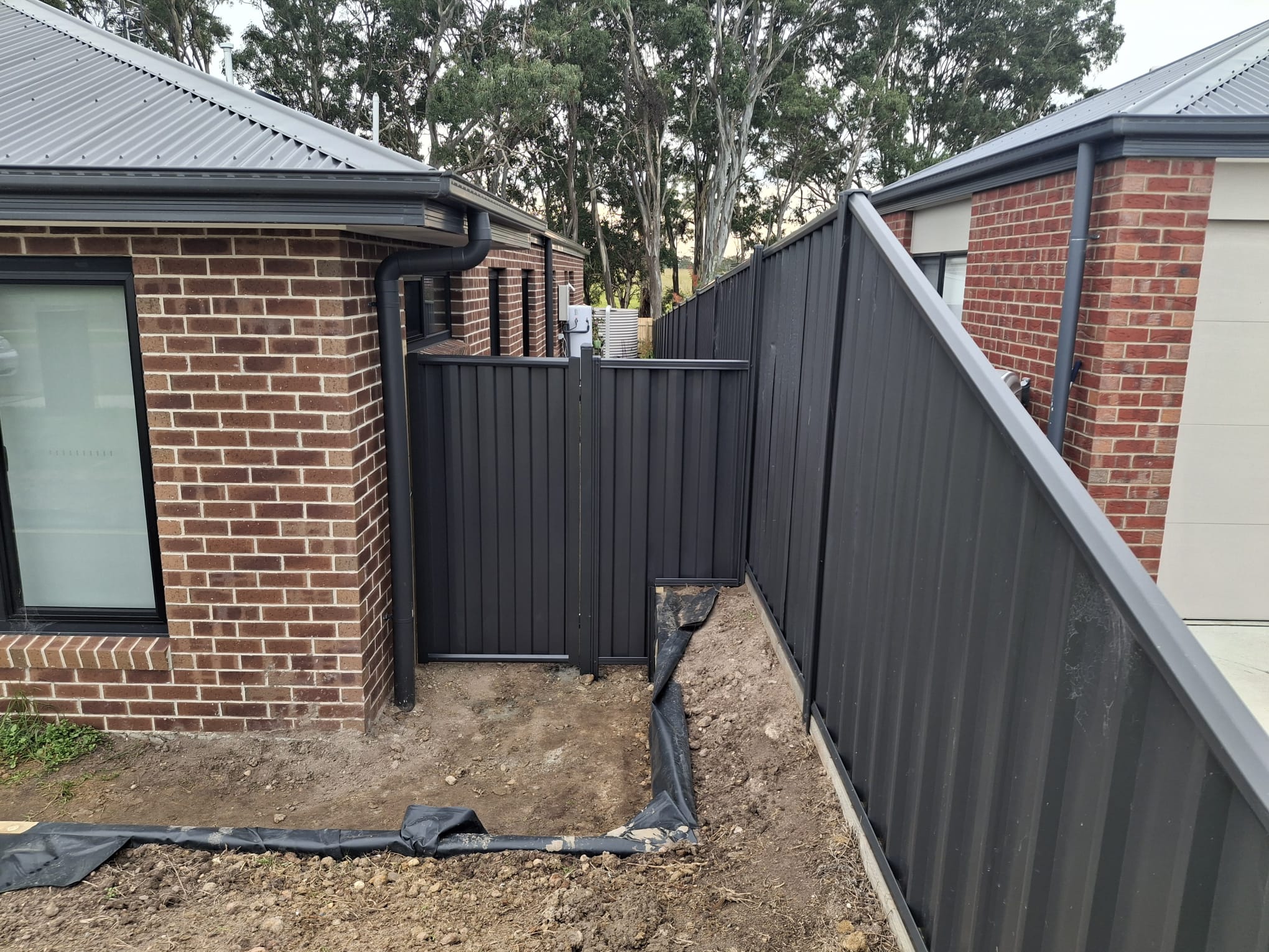 Colorbond fence between modern houses